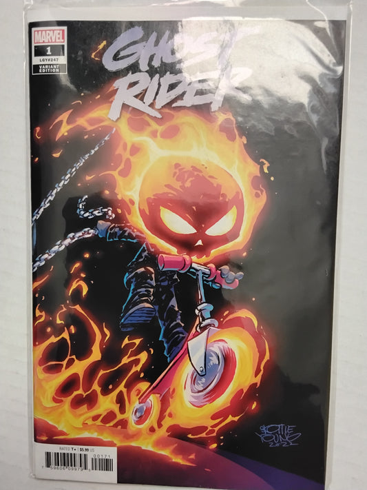 Ghost rider #8 skottie young